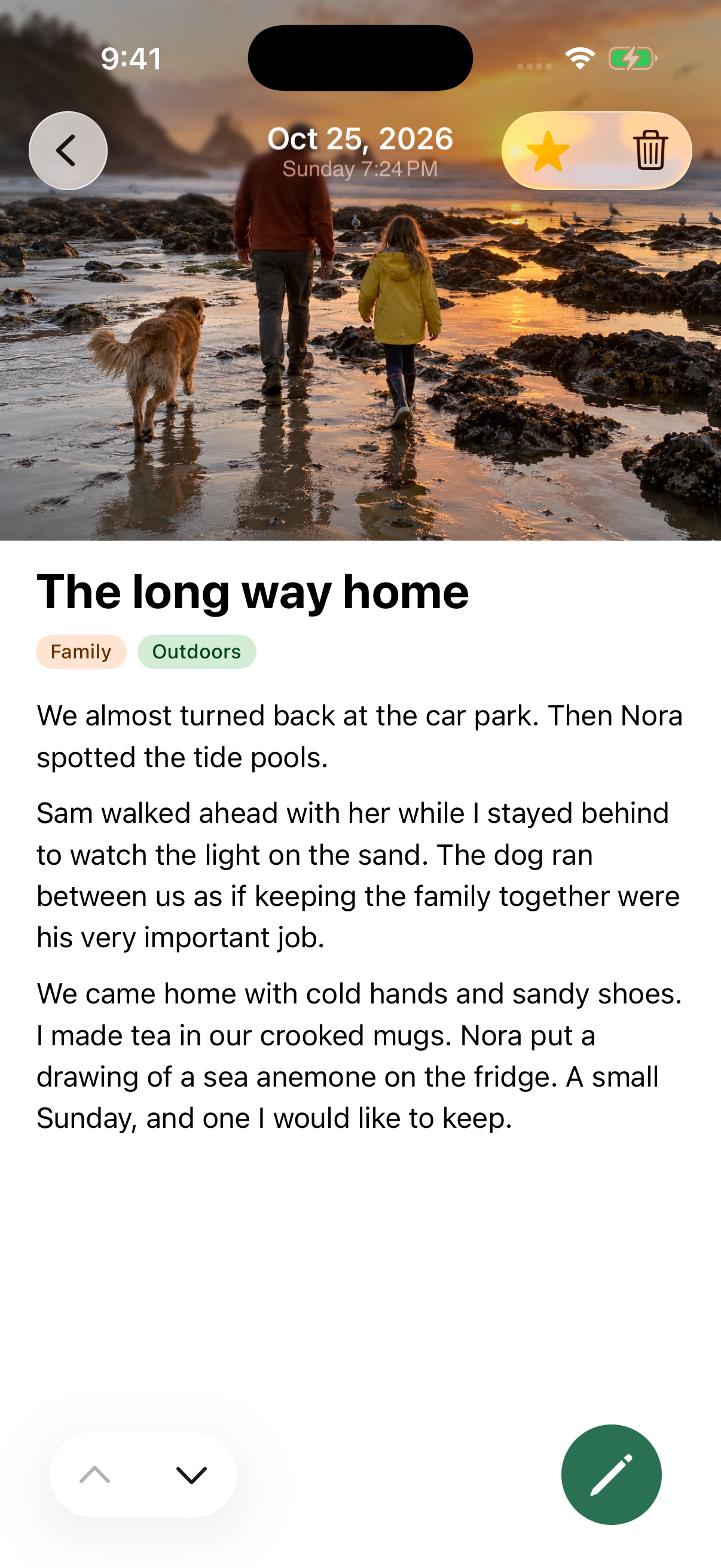 MemScape entry The long way home with a beach photograph and colored Family and Outdoors tags