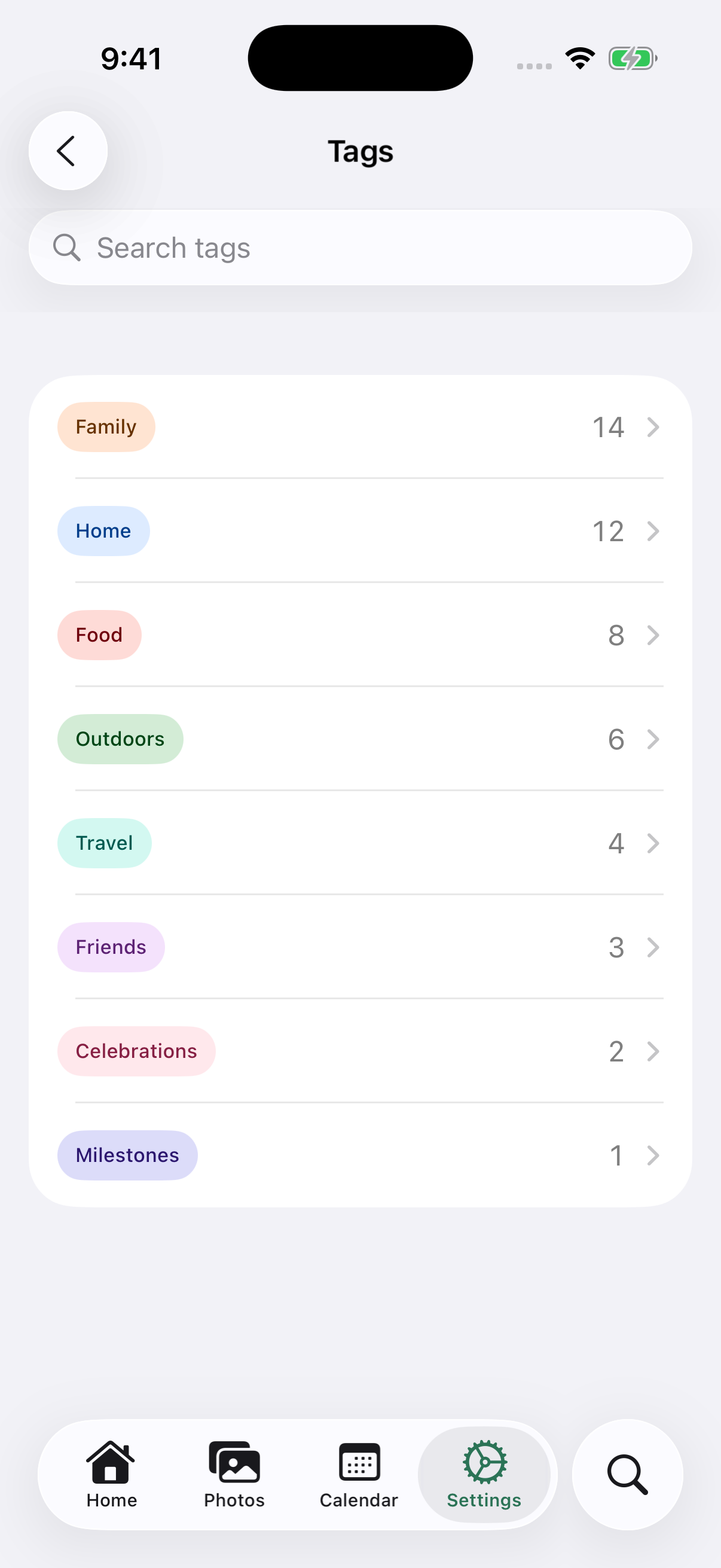 MemScape Tags settings showing meaningful colored tags including Family, Home, Food and Outdoors